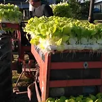 Charmante Avec Jardin Cloture, Cheminee Et Wi-fi Proche De La Dordogne - Fr-1-616-150 *