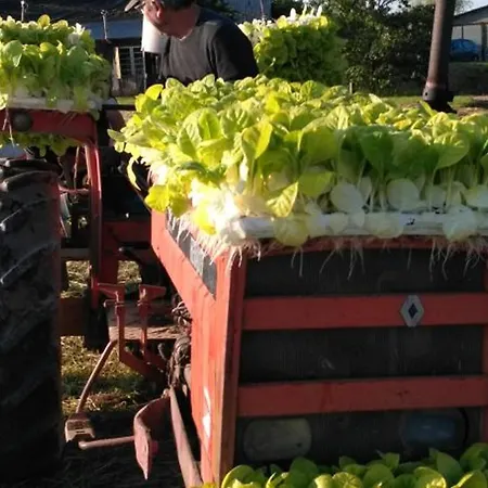 Charmante Avec Jardin Cloture, Cheminee Et Wi-fi Proche De La Dordogne - Fr-1-616-150 Prázdninový dům Saint-Capraise-de-Lalinde